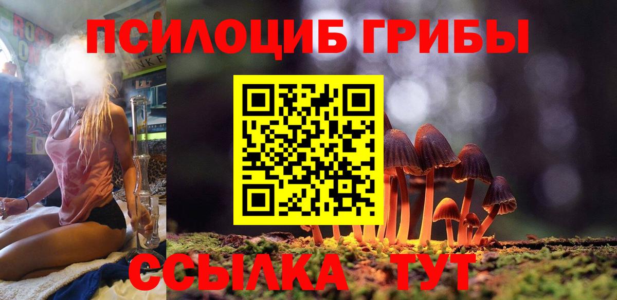 Галлюциногенные грибы мухоморы  Псилоцибиновые грибы мицелий  Заречный  Вход с VPN 